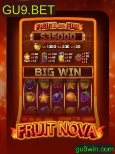 Descubra a Emoção de FruitNova: Um Novo Horizonte em Jogos Digitais